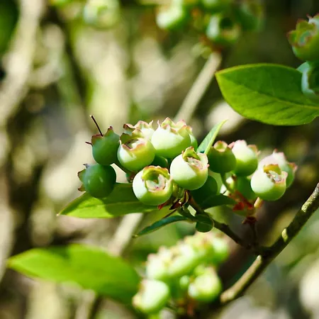 Lejlighed - Zuhause Im Weilerblick - Berg bei Ravensburg