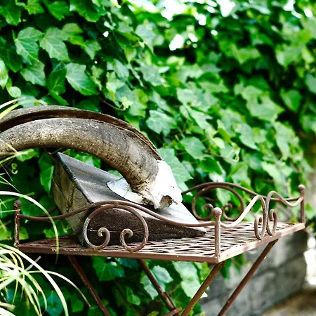 Lejlighed - Zuhause Im Weilerblick -