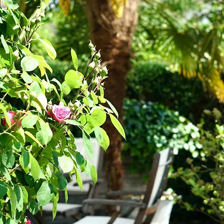 Lejlighed - Zuhause Im Weilerblick -