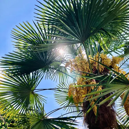 Lejlighed - Zuhause Im Weilerblick - *