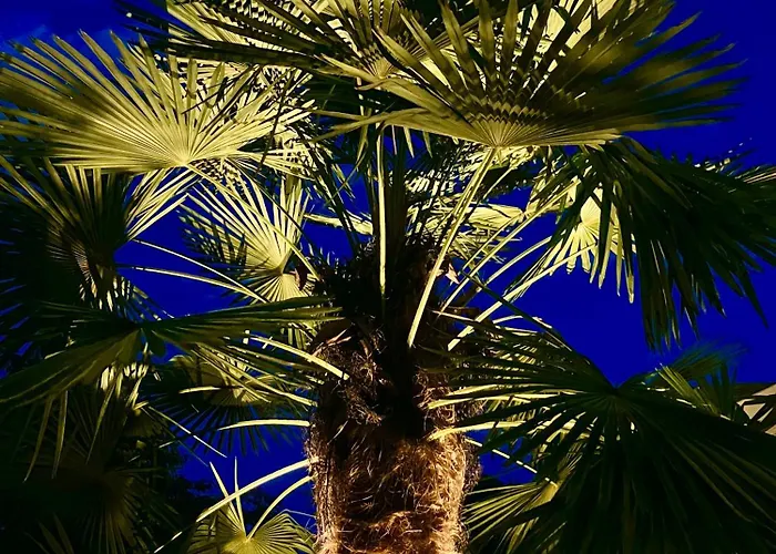 - Zuhause Im Weilerblick - شقة