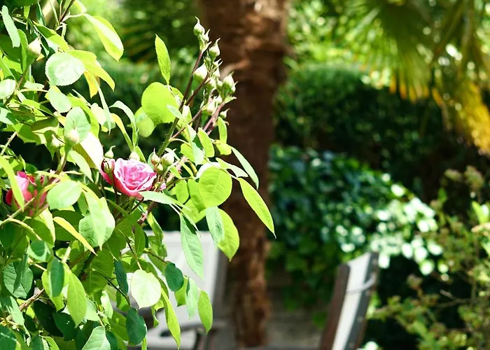 شقة - Zuhause Im Weilerblick -