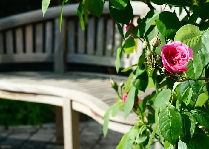 - Zuhause Im Weilerblick - شقة *