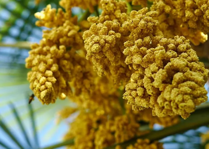 شقة - Zuhause Im Weilerblick - *