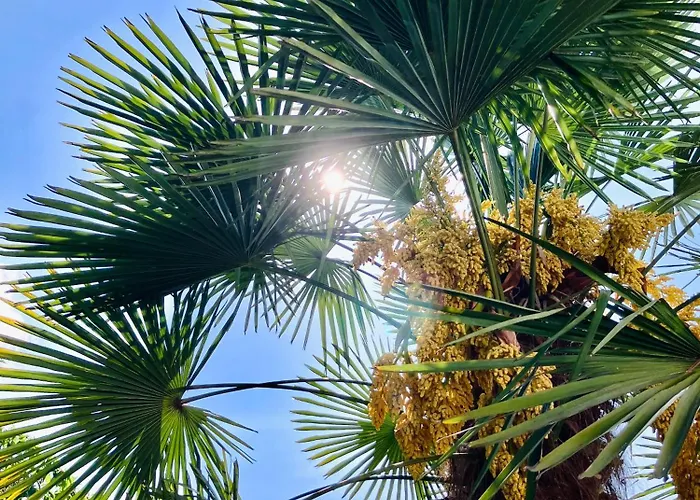 شقة - Zuhause Im Weilerblick - *